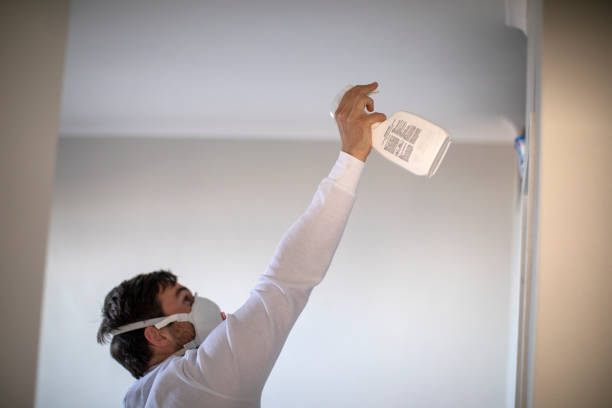 Best Residential Mold Removal  in Tustin, CA