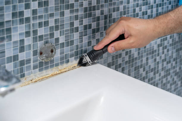 Best Residential Mold Removal  in Tustin, CA