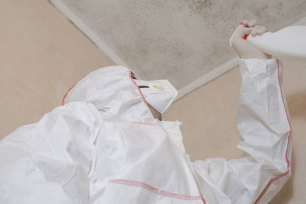 Best Home Mold Removal  in Tustin, CA