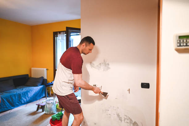 Best Black Mold Removal  in Tustin, CA